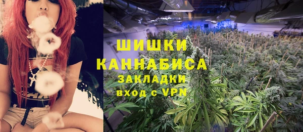 a pvp Аркадак