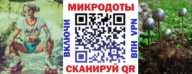 Псилоцибиновые грибы Magic Shrooms наркотики Багратионовск